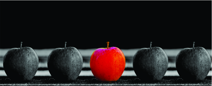 kelola sikap alias attitude