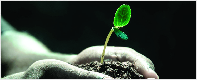 tidak hidup yang gratis